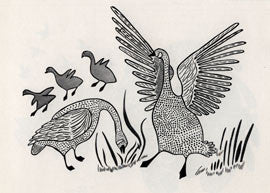 Brace of Canada Geese