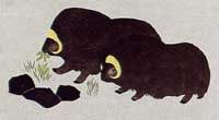 Malrok Umingmak