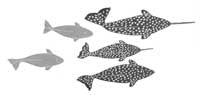 Narwhal and Young