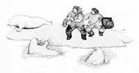 Walrus Hunt