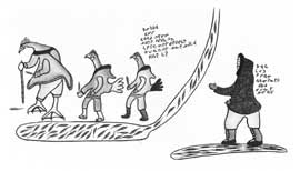 Collective Feathers