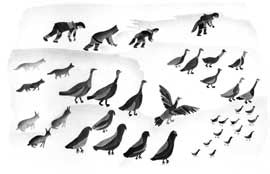 Lives of the Tundra