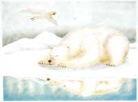 Sleeping Bear