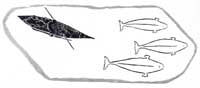The Hunter in the Kayak will get the Whales
